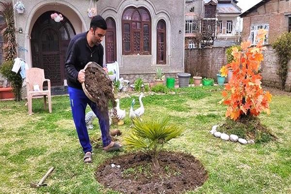 Roots, fruit and the slow work of living.