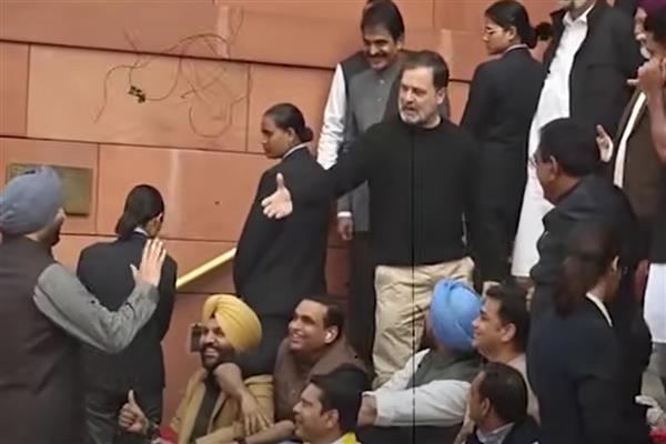 Rahul Gandhi offers a handshake as Ravneet Bittu walks past during the Parliament protest